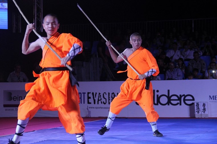 Martial Arts Festival